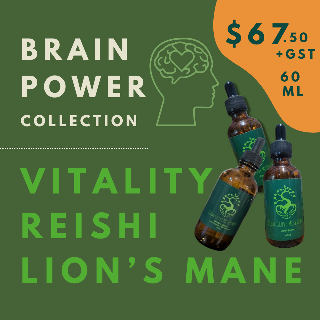 Brain Power Collection (60ml)