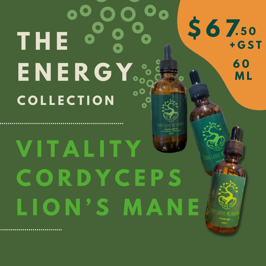 The Energy Collection (60ml)