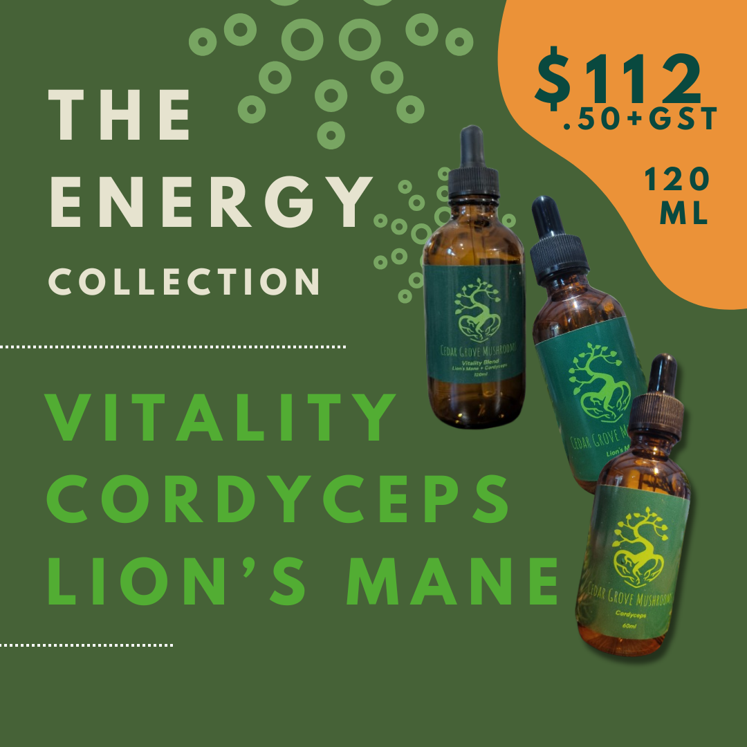 The Energy Collection (120ml)