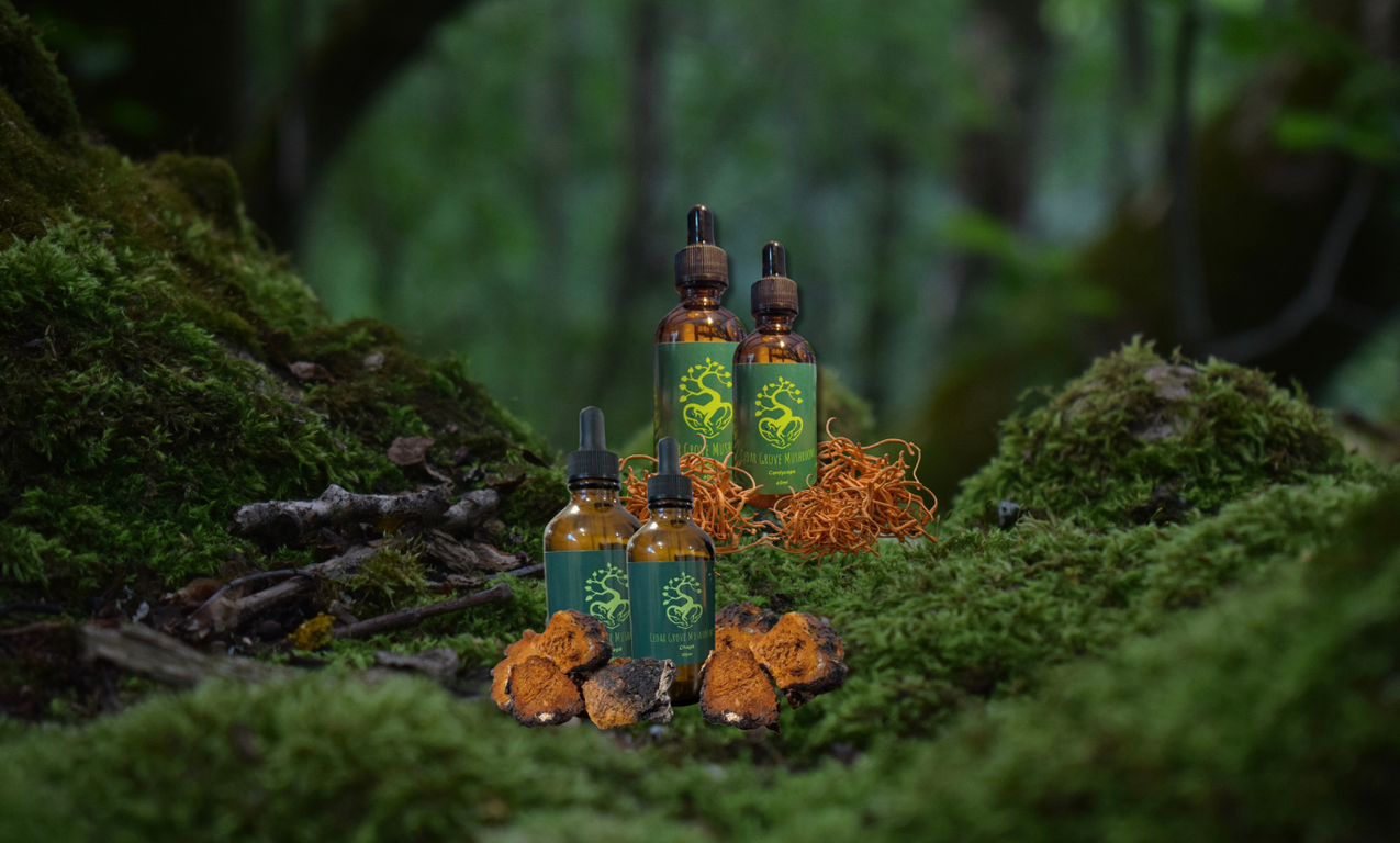Bottles of Chaga and Cordyceps Mushroom Tinctures from Cedar Grove Mushrooms displayed on a dense forested ground.