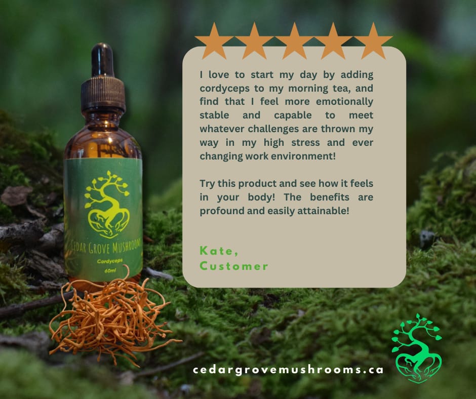 CORDYCEPS TINCTURE