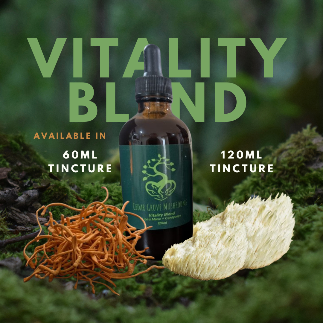 VITALITY BLEND TINCTURE