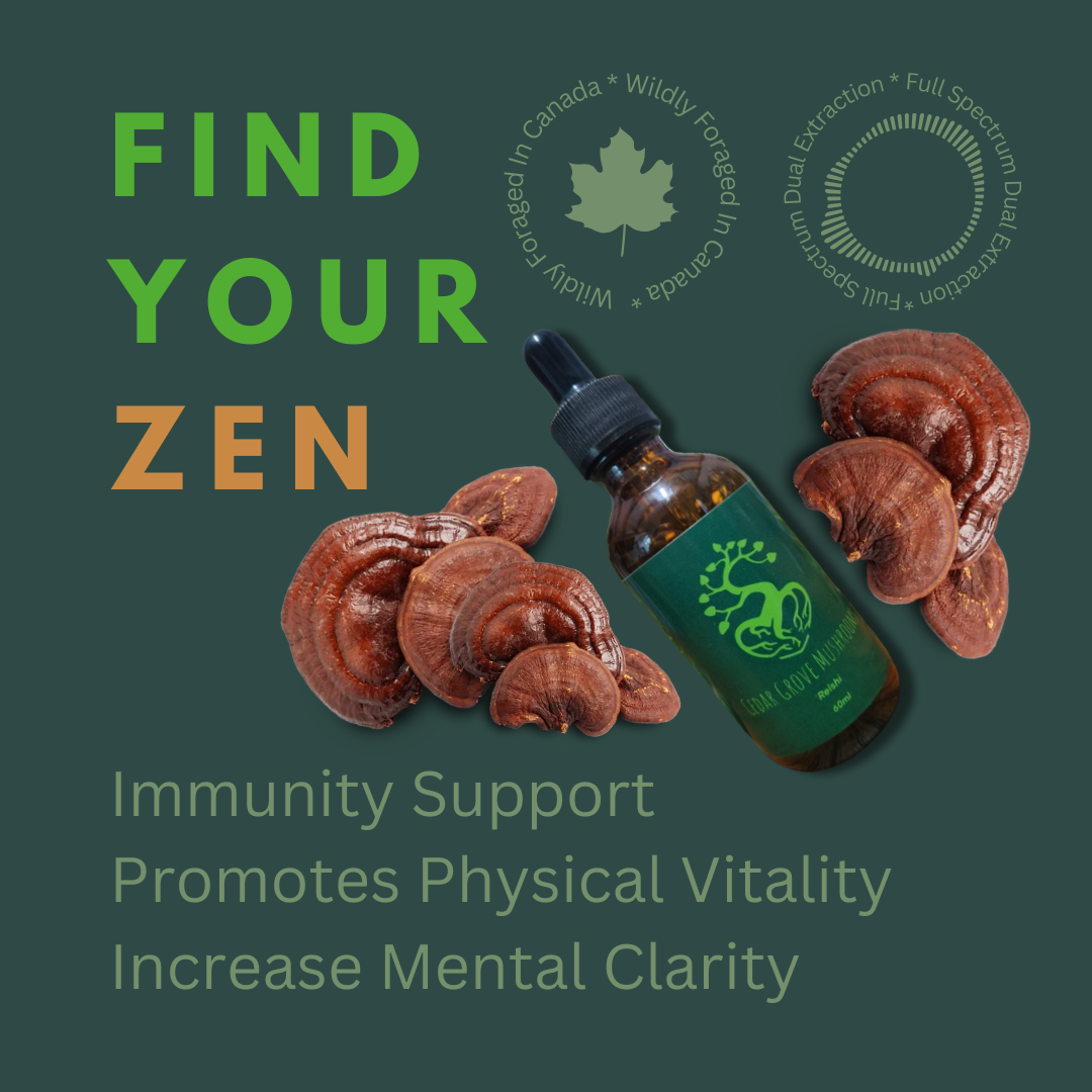REISHI TINCTURE