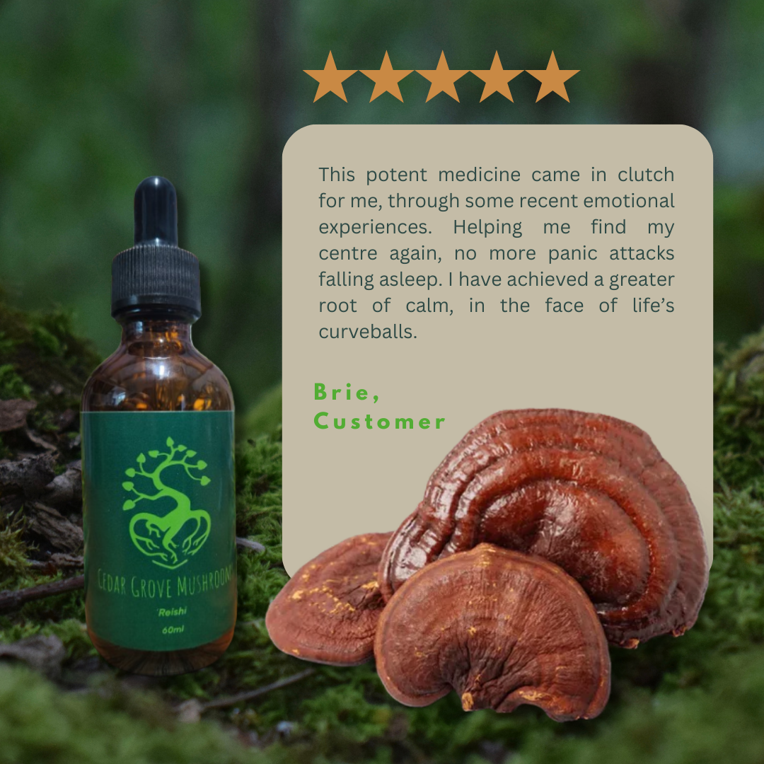 REISHI TINCTURE