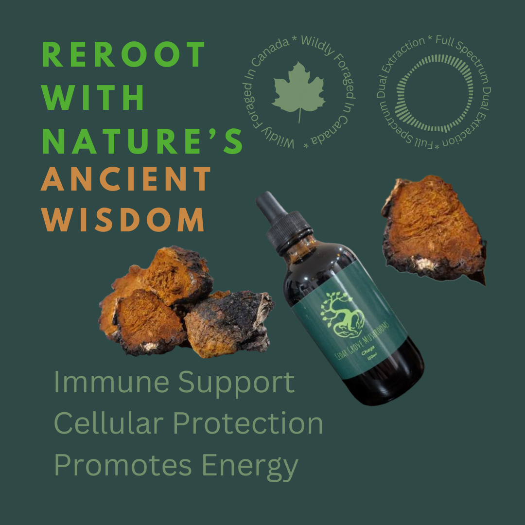 CHAGA TINCTURE