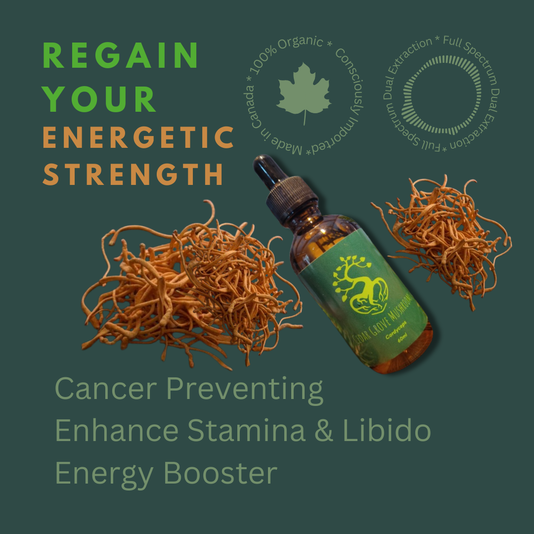 CORDYCEPS TINCTURE